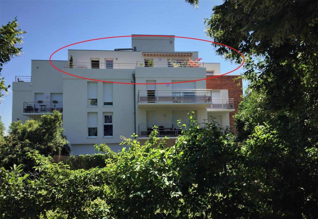 Bel Appartement Strasbourg Eksteriør billede